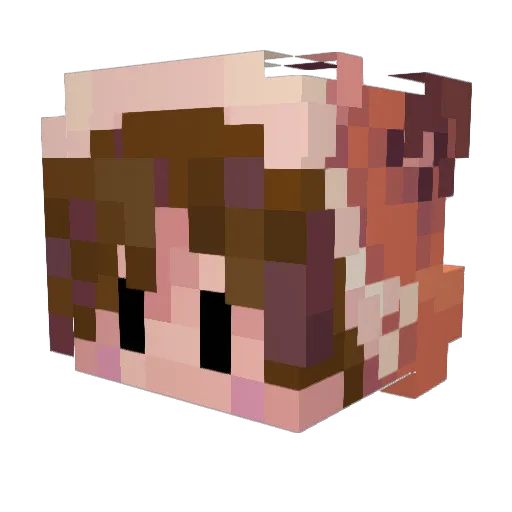 HerbaceousEntity Minecraft avatar head, 3D render