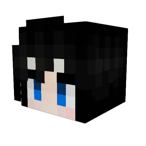 Herbalbath Minecraft avatar head, 3D render