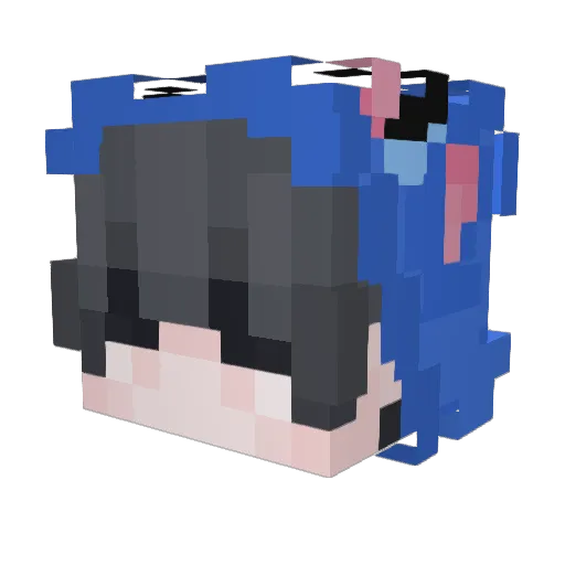 Herbatka2011 Minecraft avatar head, 3D render