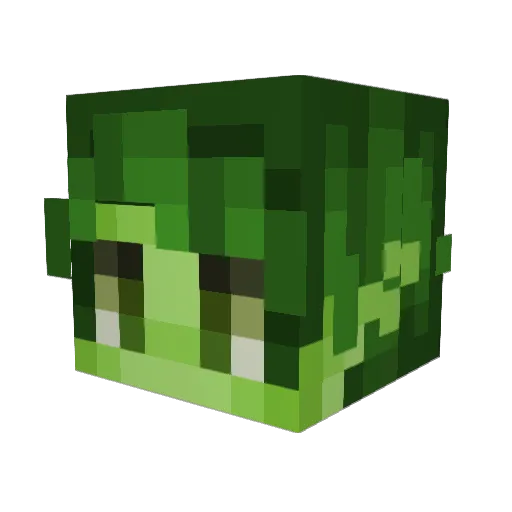 Herbie_GG Minecraft avatar head, 3D render