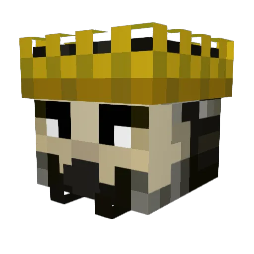 Herbster0 Minecraft avatar head, 3D render