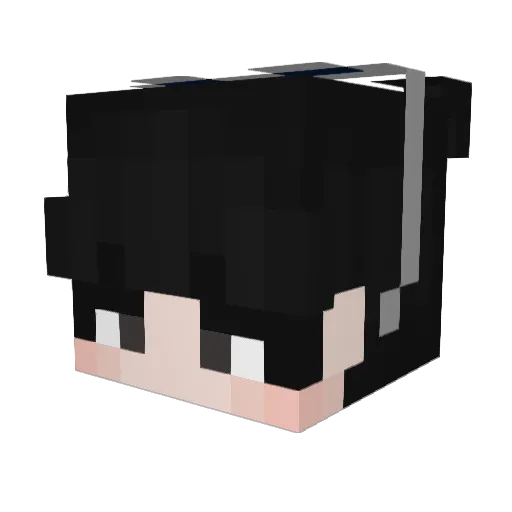 Herdz102 Minecraft avatar head, 3D render