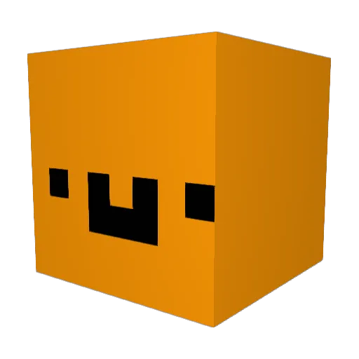 Heregoesnothin2 Minecraft avatar head, 3D render