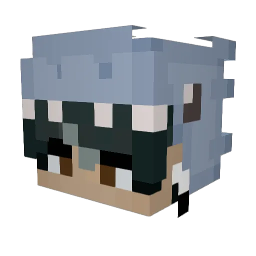 HeresFossil77 Minecraft avatar head, 3D render