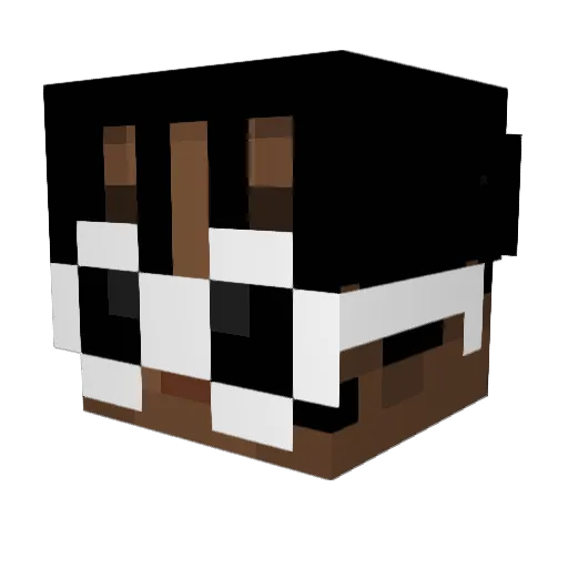 Hergert1997 Minecraft avatar head, 3D render
