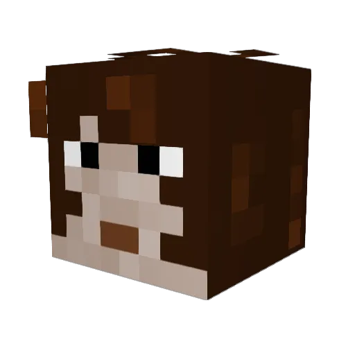 Hermanoslr Minecraft avatar head, 3D render