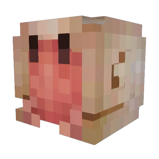 Hermi_i Minecraft avatar head, 3D render