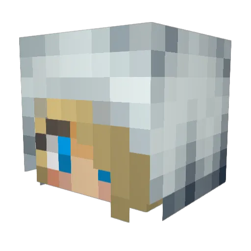 Hermione0208 Minecraft avatar head, 3D render