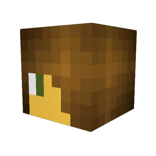 Hermione34568 Minecraft avatar head, 3D render