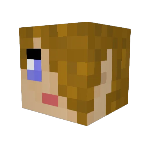 HermioneyGranger Minecraft avatar head, 3D render