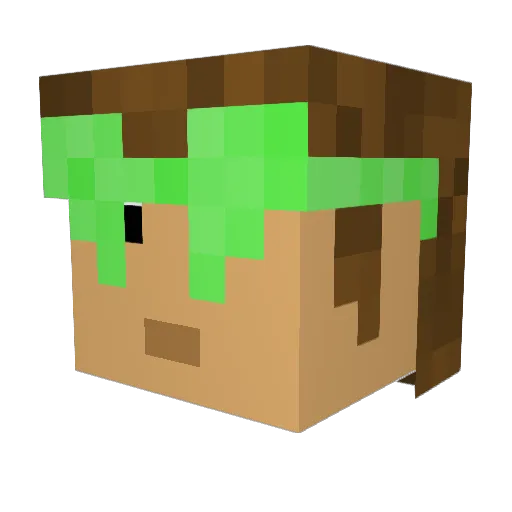 Hermoso19 Minecraft avatar head, 3D render