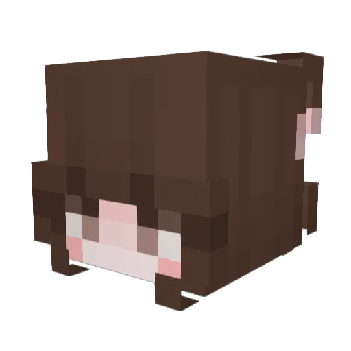 Hermosq Minecraft avatar head, 3D render