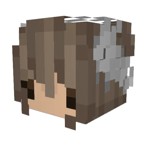 Hermpton Minecraft avatar head, 3D render