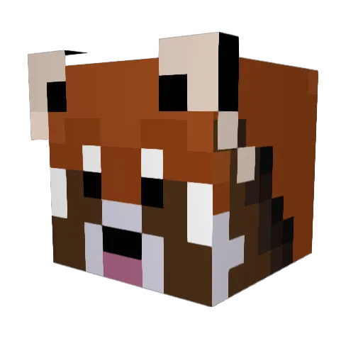 Herni123 Minecraft avatar head, 3D render