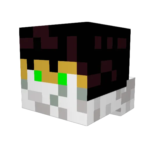 Hero212 Minecraft avatar head, 3D render