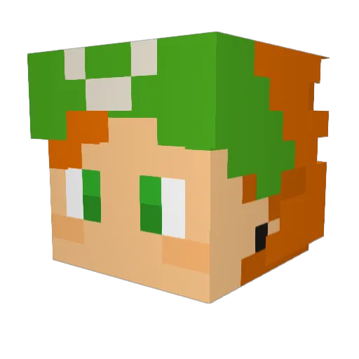 Hero697 Minecraft avatar head, 3D render