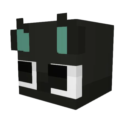 Hero9920 Minecraft avatar head, 3D render