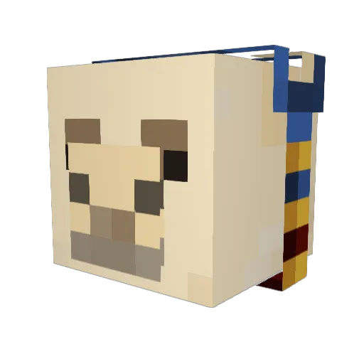 HeroBrain456 Minecraft avatar head, 3D render