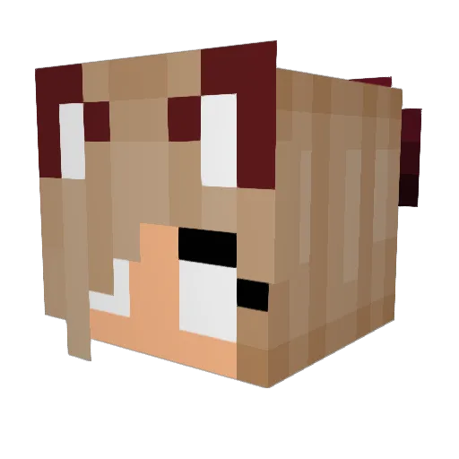 HeroBryanna1994 Minecraft avatar head, 3D render