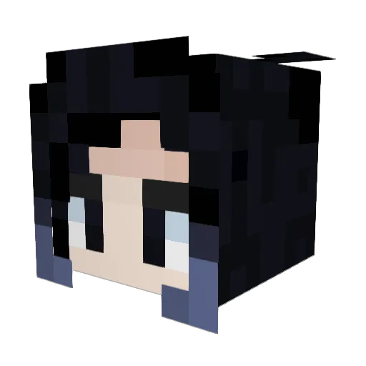 HeroDarkXx Minecraft avatar head, 3D render