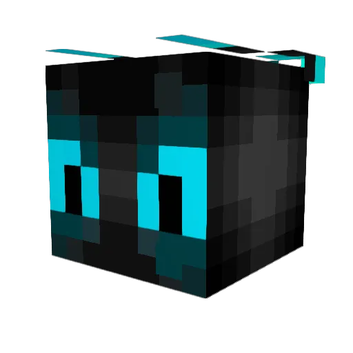 HeroDragon32 Minecraft avatar head, 3D render