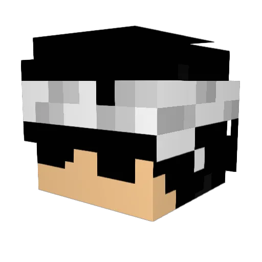 HeroGameZ Minecraft avatar head, 3D render
