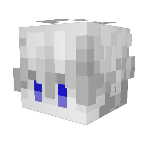 HeroGamerr_ Minecraft avatar head, 3D render