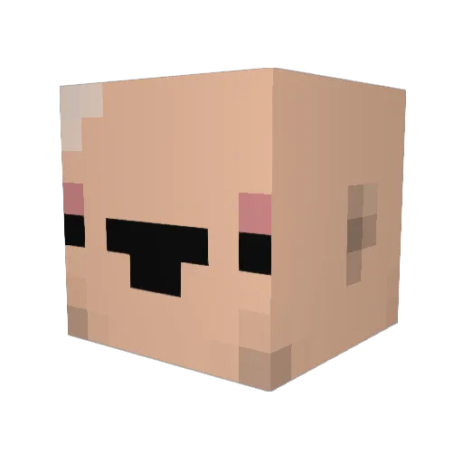 HeroLachlan Minecraft avatar head, 3D render