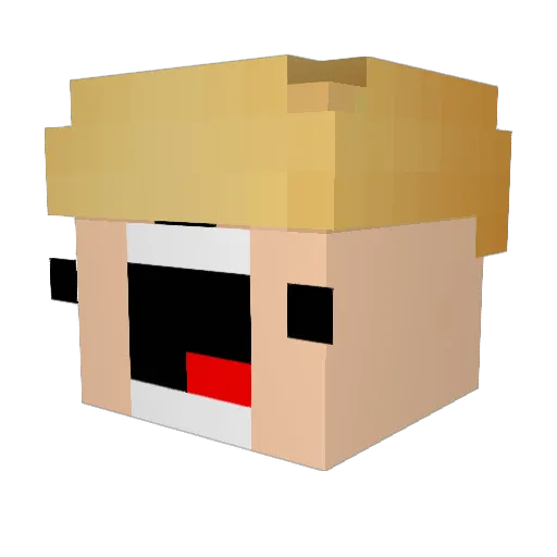 HeroOfAllNubs Minecraft avatar head, 3D render