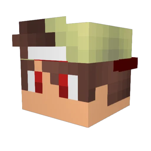 HeroPlayz24 Minecraft avatar head, 3D render