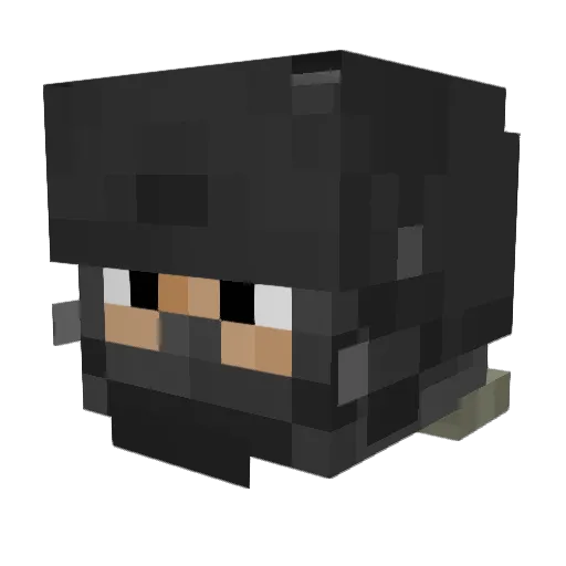 HeroSam08112014 Minecraft avatar head, 3D render