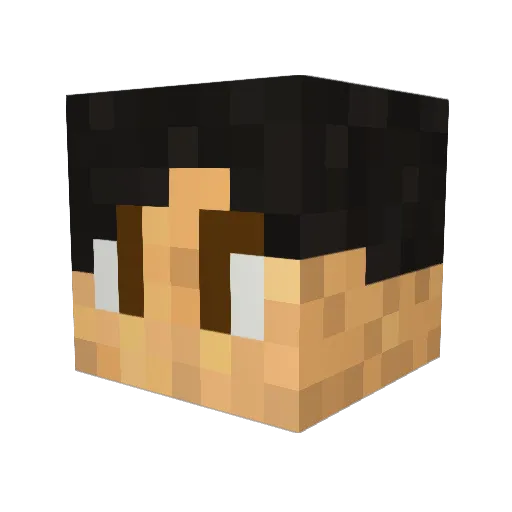 HeroSquad412 Minecraft avatar head, 3D render