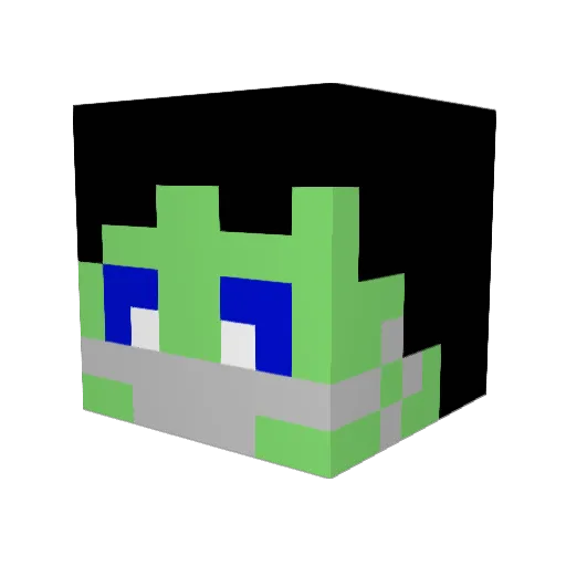HeroTom5U Minecraft avatar head, 3D render