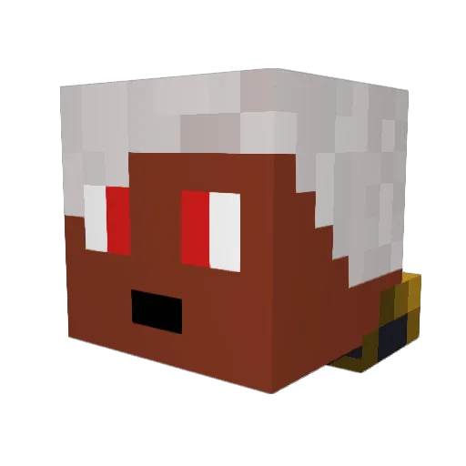 Hero_Ari Minecraft avatar head, 3D render