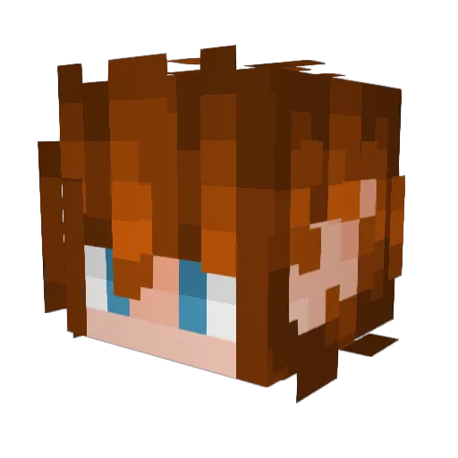 Hero_Illian Minecraft avatar head, 3D render