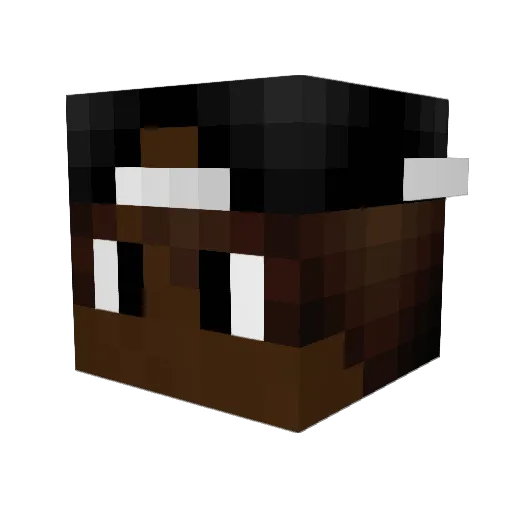Hero_PlayzMC Minecraft avatar head, 3D render