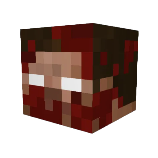 Hero_walker Minecraft avatar head, 3D render