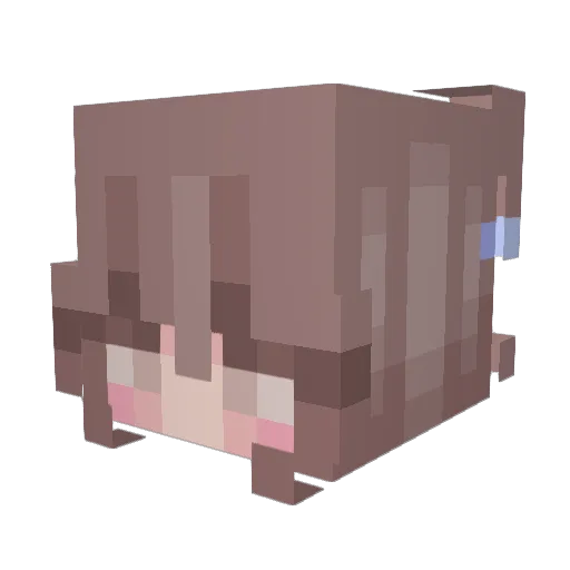 Heroes246 Minecraft avatar head, 3D render
