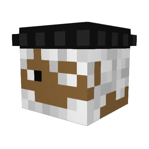 Heroglyphas Minecraft avatar head, 3D render