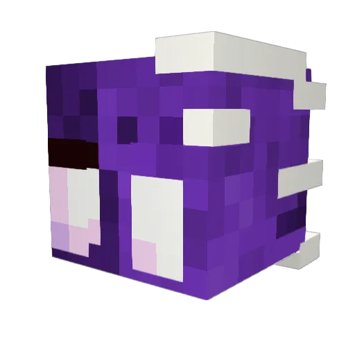 HeroicBanjo3809 Minecraft avatar head, 3D render