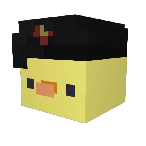 HeroicDuck5711 Minecraft avatar head, 3D render