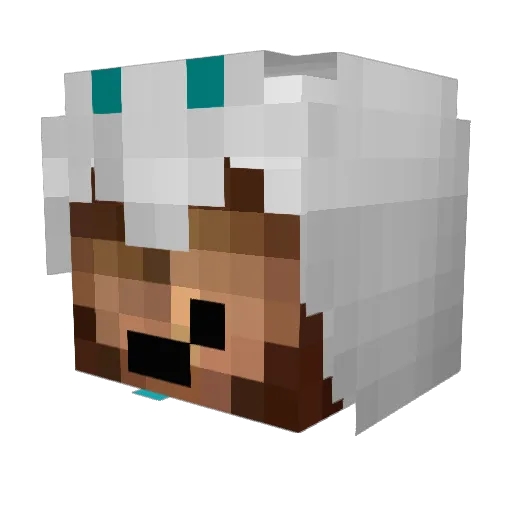 Heroic_Sock Minecraft avatar head, 3D render
