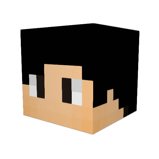 Herolix42 Minecraft avatar head, 3D render