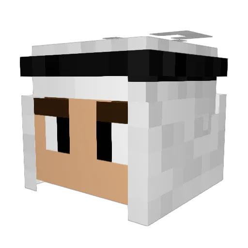 HeronBone Minecraft avatar head, 3D render