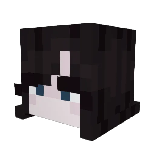 Heronire_ Minecraft avatar head, 3D render