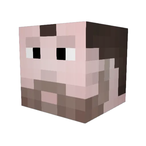Heroscout24 Minecraft avatar head, 3D render