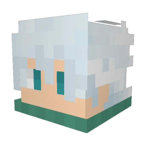 HerpDerp1 Minecraft avatar head, 3D render