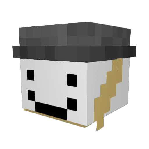 Herpion Minecraft avatar head, 3D render