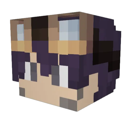 HerrBardt Minecraft avatar head, 3D render