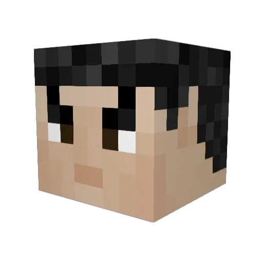 HerrBert2000 Minecraft avatar head, 3D render